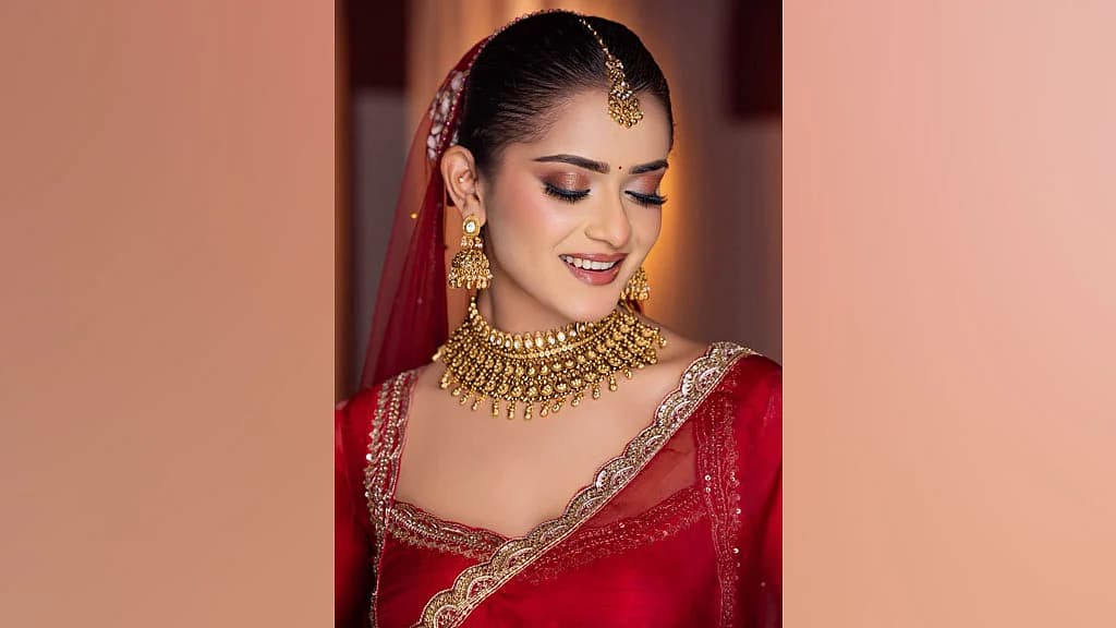 ৭৫ হাজার টাকার শাড়ির মামলা: তানজিন তিশার বিরুদ্ধে এবার তদন্তে সিআইডি