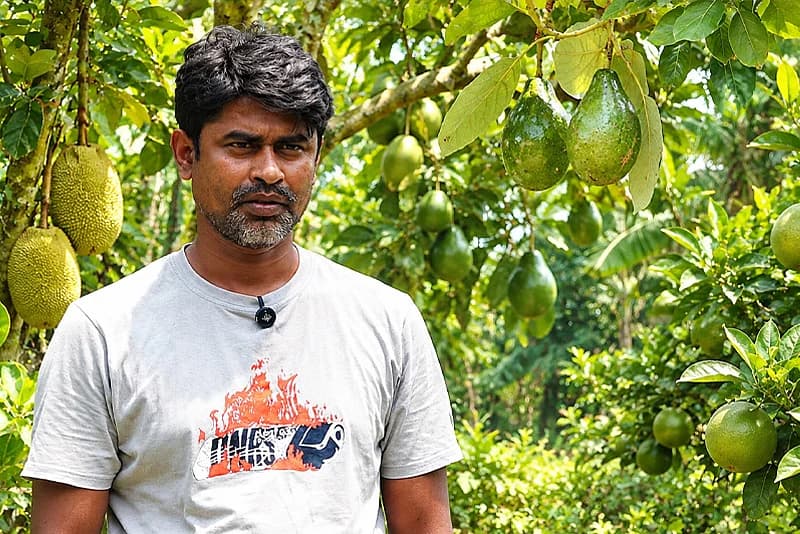 ১২০ বিঘার ফলবাগান গড়েছেন চুয়াডাঙ্গার সাদ্দাম, বছরে আয় ২ কোটি টাকা