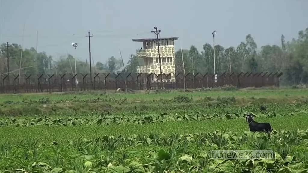 ‘বাংলাদেশে ঢুকে বিএসএফের সাউন্ড গ্রেনেড’, বিজিবির প্রতিবাদ